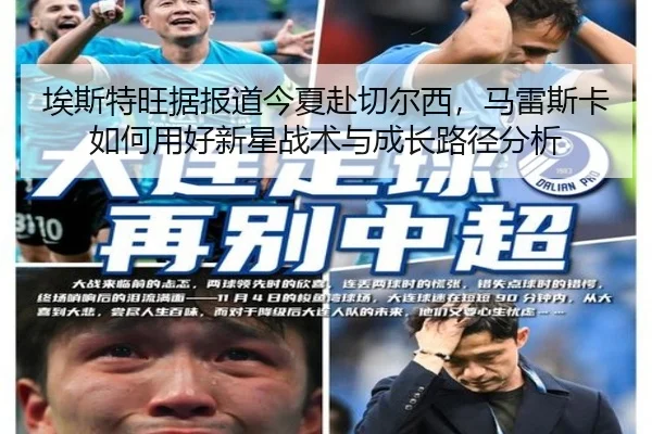 ai-si-te-wang-ju-bao-dao-jin-xia-fu-qie-er-xi-ma-lei-si-ka-ru-he-yong-hao-xin-xing-zhan-shu-yu-cheng-zhang-lu-jing-fen-2-724.jpg